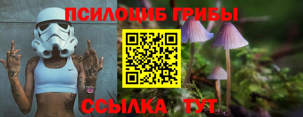 Псилоцибиновые грибы Magic Shrooms  Вход с VPN  Томск  Псилоцибиновые грибы MAGIC MUSHROOMS 