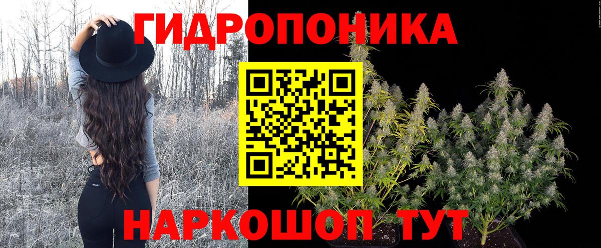 Шишки марихуана план Томск